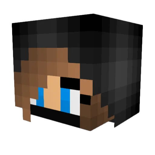 _Feisty_Fox_ Minecraft avatar head, 3D render