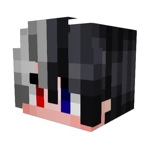 _FeliGieZ Minecraft avatar head, 3D render