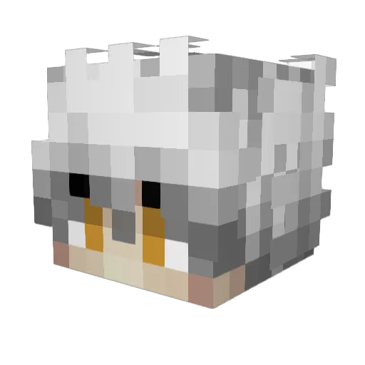 _Feliks_Ks Minecraft avatar head, 3D render