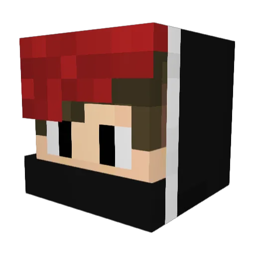 _Felpa_Ciano_ Minecraft avatar head, 3D render