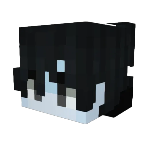 _FenSy_ Minecraft avatar head, 3D render