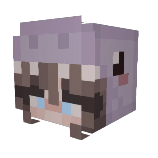 _Fergy_ Minecraft avatar head, 3D render