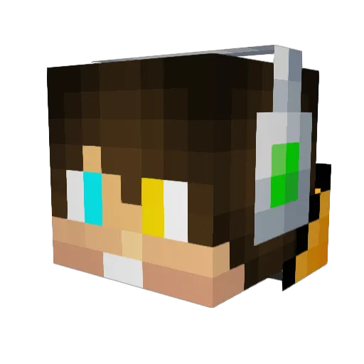 _Ferlan_ Minecraft avatar head, 3D render