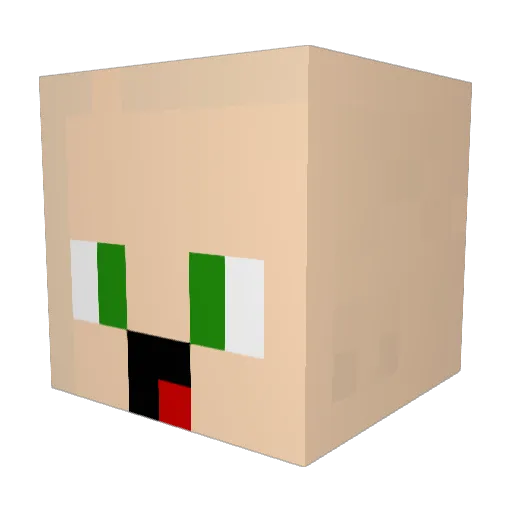 _FettklopsHD Minecraft avatar head, 3D render