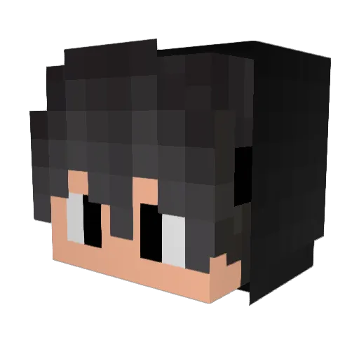 _Feynman Minecraft avatar head, 3D render