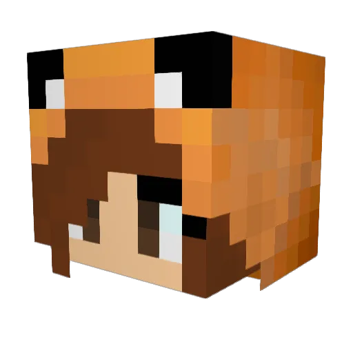 _FightFox_ Minecraft avatar head, 3D render