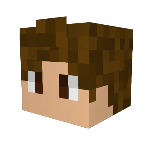 _FiiiF Minecraft avatar head, 3D render