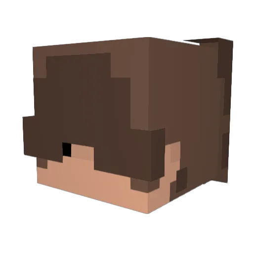 _Filip_20 Minecraft avatar head, 3D render
