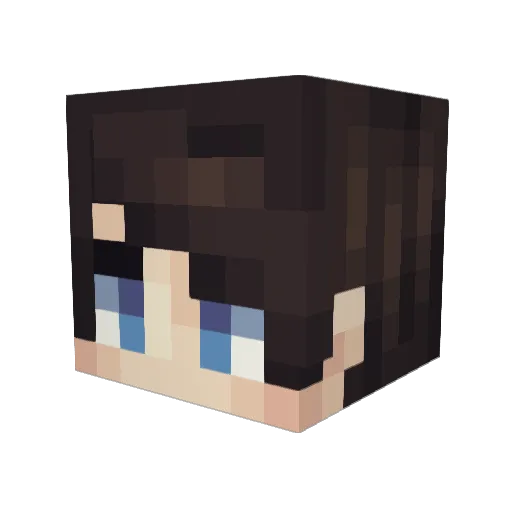 _Film162_ Minecraft avatar head, 3D render