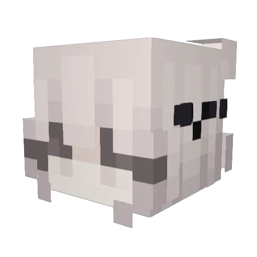 _Finlayy Minecraft avatar head, 3D render