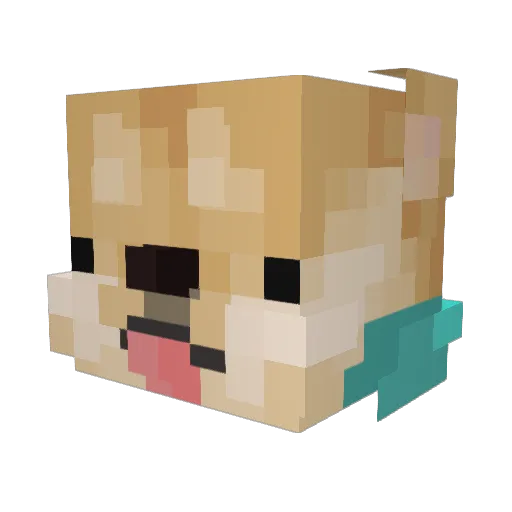 _Finnjamin_ Minecraft avatar head, 3D render