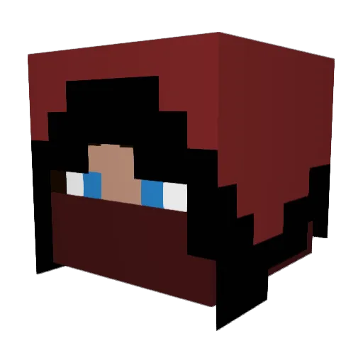 _FireShadow_ Minecraft avatar head, 3D render