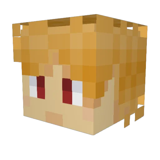 _Fireshady Minecraft avatar head, 3D render