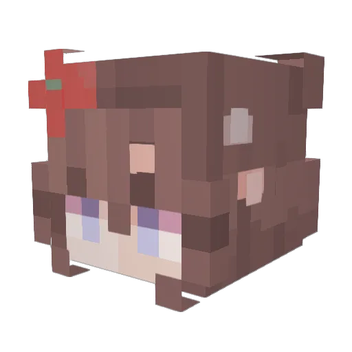 _FishWish Minecraft avatar head, 3D render