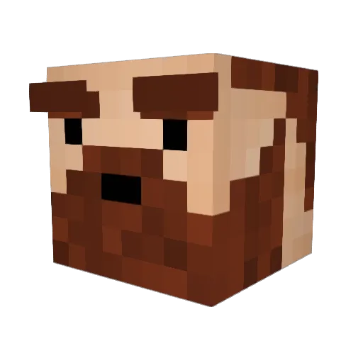 _Fl3tch_ Minecraft avatar head, 3D render