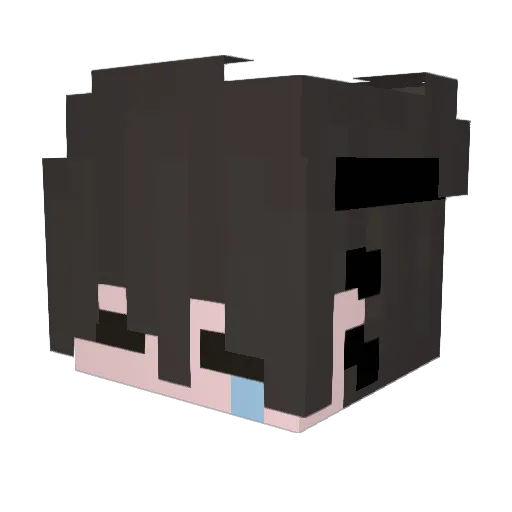 _Flakk Minecraft avatar head, 3D render