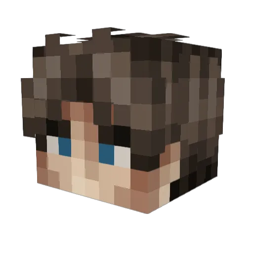 _Flaxis_ Minecraft avatar head, 3D render
