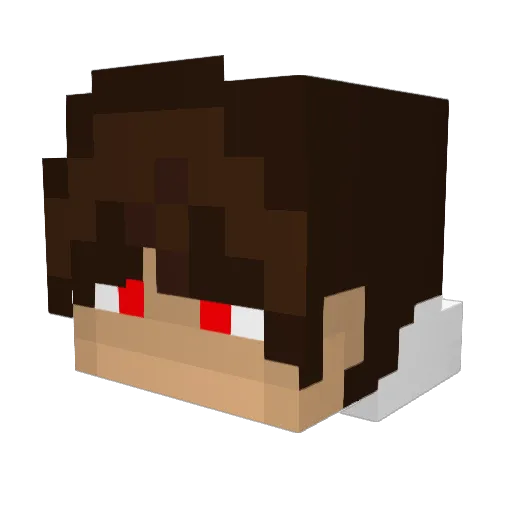 _Flikster Minecraft avatar head, 3D render