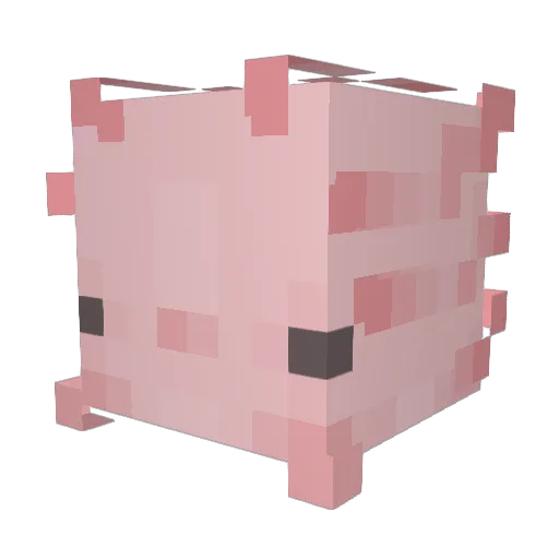_Flop__ Minecraft avatar head, 3D render