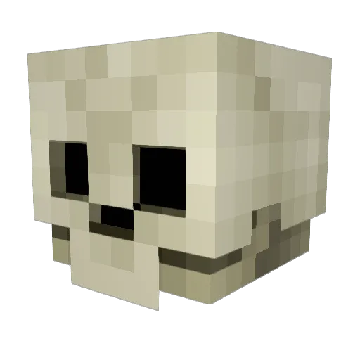 _FloppyDisck Minecraft avatar head, 3D render