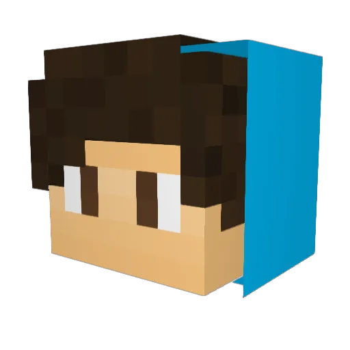 _Flor1 Minecraft avatar head, 3D render