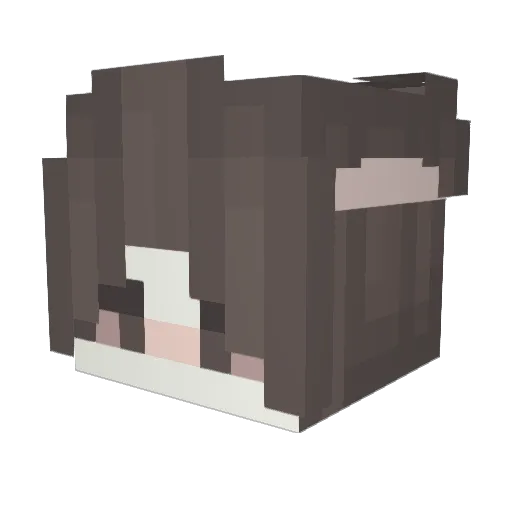 _Forever__ Minecraft avatar head, 3D render