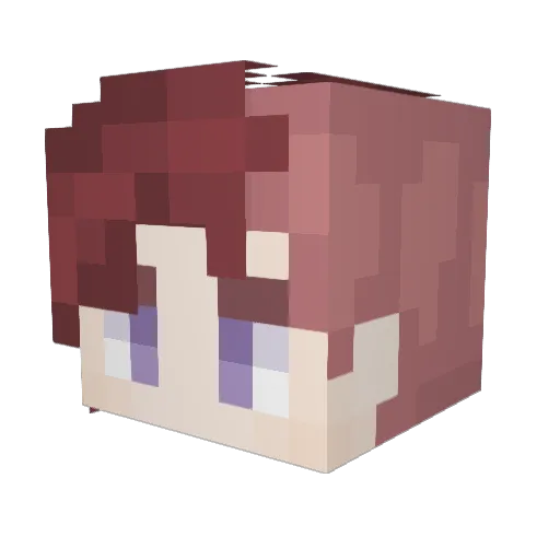 _Fox3l_ Minecraft avatar head, 3D render