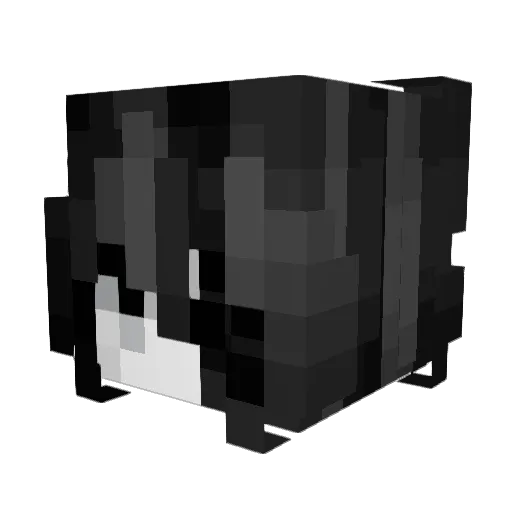 _Fox_5 Minecraft avatar head, 3D render