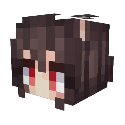 _Foxy84 Minecraft avatar head, 3D render