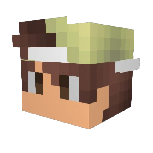 _Fr0zY_ Minecraft avatar head, 3D render