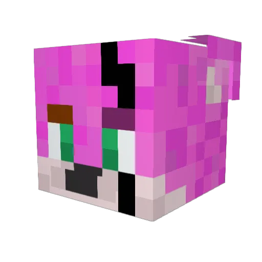 _Fr1ZeR_ Minecraft avatar head, 3D render