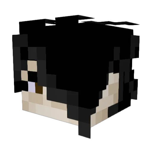 _Fraan_ Minecraft avatar head, 3D render