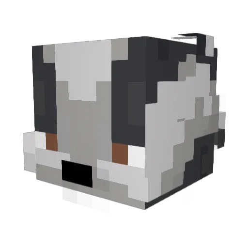 _FrechDachs_ Minecraft avatar head, 3D render