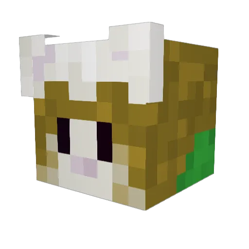 _Frett_ Minecraft avatar head, 3D render