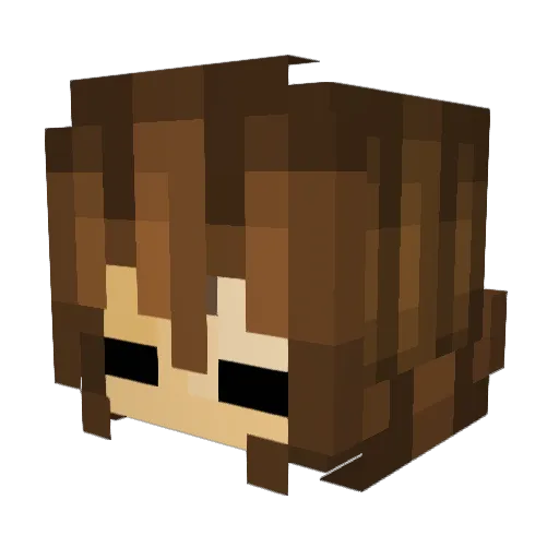 _Frisk_The_Human Minecraft avatar head, 3D render