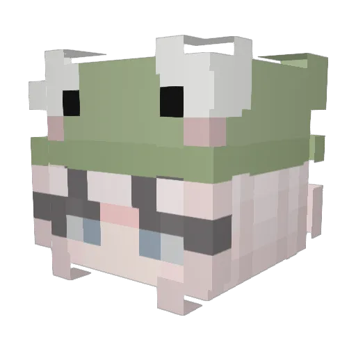 _Frogg1e_22 Minecraft avatar head, 3D render