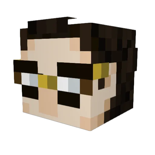 _Frogpotion_ Minecraft avatar head, 3D render
