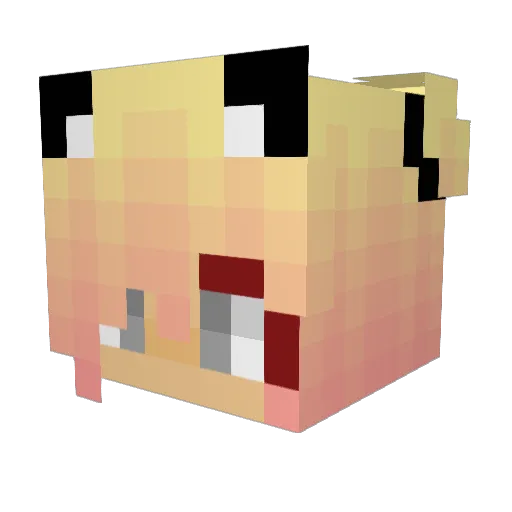 _Froppy_MHA_ Minecraft avatar head, 3D render