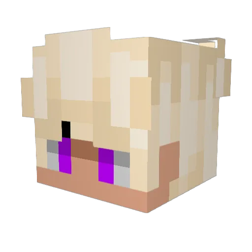 _Frumptle Minecraft avatar head, 3D render