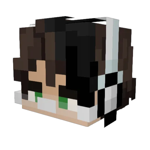 _Fryzint_ Minecraft avatar head, 3D render
