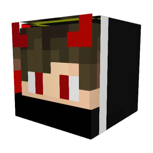 _FukyS_ Minecraft avatar head, 3D render