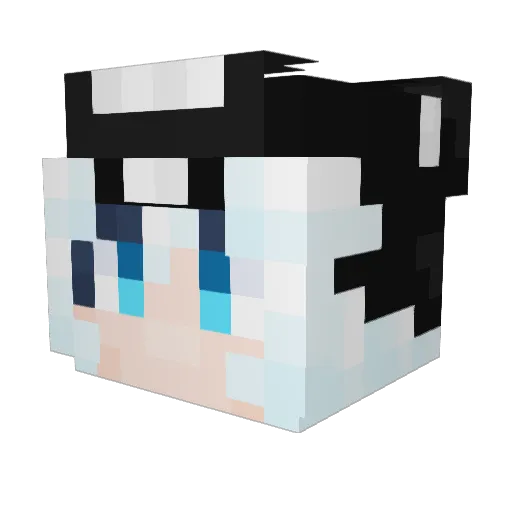 _FutureHero_ Minecraft avatar head, 3D render