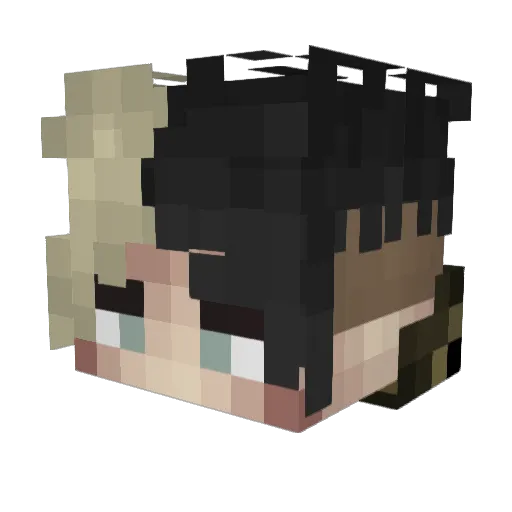 _Fxbi_ Minecraft avatar head, 3D render