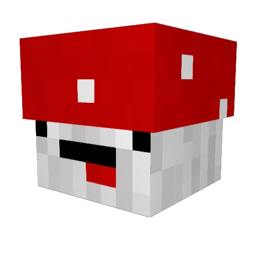_Fyat Minecraft avatar head, 3D render