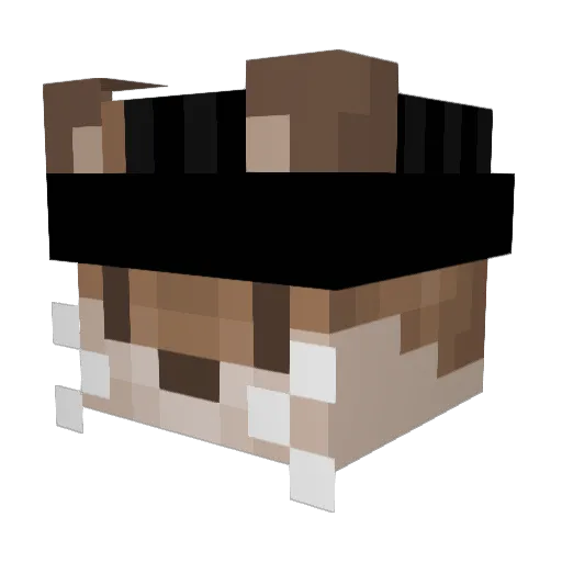 _G4bi Minecraft avatar head, 3D render