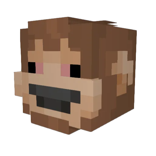_GAMII_ Minecraft avatar head, 3D render