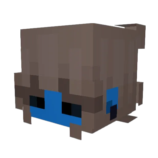 _GERQ Minecraft avatar head, 3D render