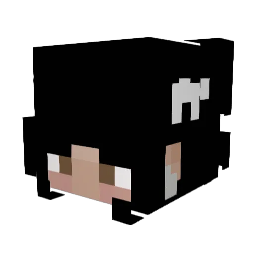 _Gags_ Minecraft avatar head, 3D render