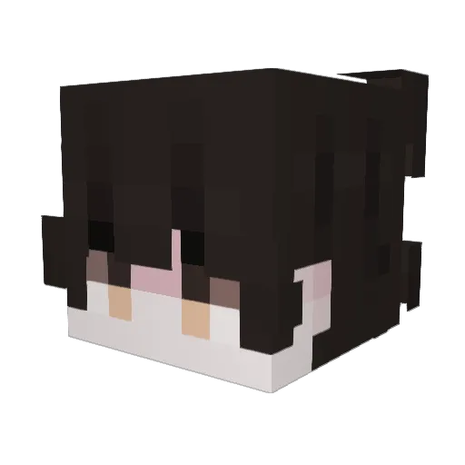 _Gaiseric_ Minecraft avatar head, 3D render
