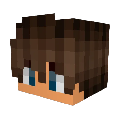 _Galaxy_ Minecraft avatar head, 3D render